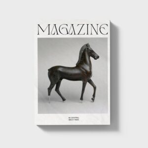 Magazine 7